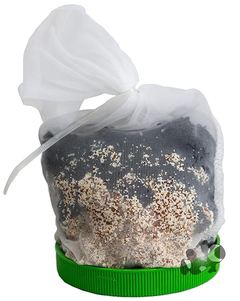 BOYD CHEMI PURE GREEN FRESHWATER PLANTED FILTER MEDIA (5 OZ)