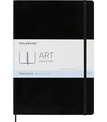 Amazon.com: Moleskine Art Sketchbook, Hard Cover, Pocket (3.5