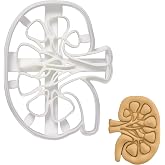 Internal Kidney cookie cutter, 1 piece - Bakerlogy
