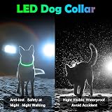 AUAUY LED Light Up Dog Collar Green USB Rechargeable Water Resistant Reflective view 6