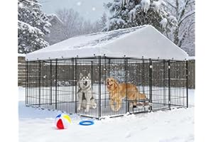 Yafylly 10×10×6 FT Large Outdoor Dog Kennel for Large Dogs - Heavy Duty Dog Kennel Outdoor with Roof, Covered Dog Kennels with Feeding Door and Double Lock