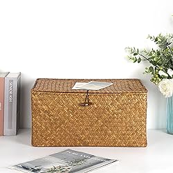 Hipiwe Wicker Shelf Baskets Bin with Lid, Handwoven