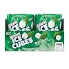 Hager & Werken Xylitol Chewing Gum - Display 12 Dosen X 30 Stück Erdbeere | 127799