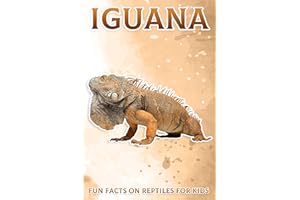 Iguana: Fun Facts on Reptiles for Kids #9