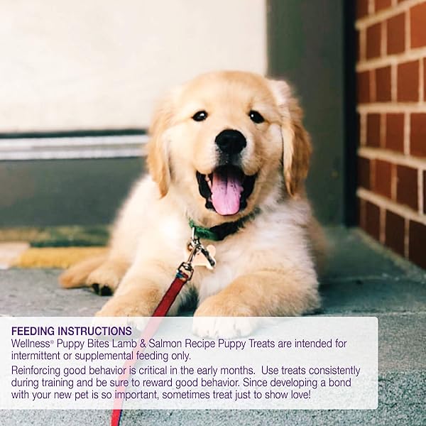 WELLNESS PUPPY TREATS, NATURAL, TRAINING TREAT, GRAIN FREE, SOFT LAMB & SALMON (8 OUNCE BAG)