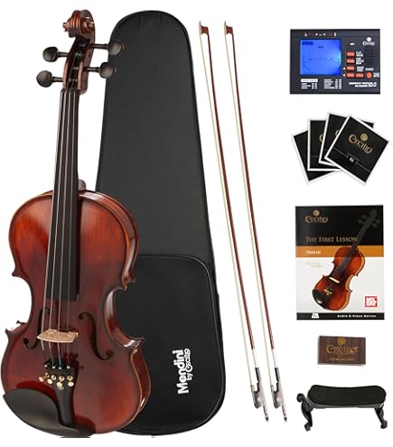 Amazon.com: Scott Cao Violin Outfit 1/2 Size Model STV017