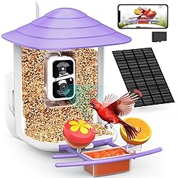 birdsnap® TUC- Smart Bird Feeder with Camera+Solar