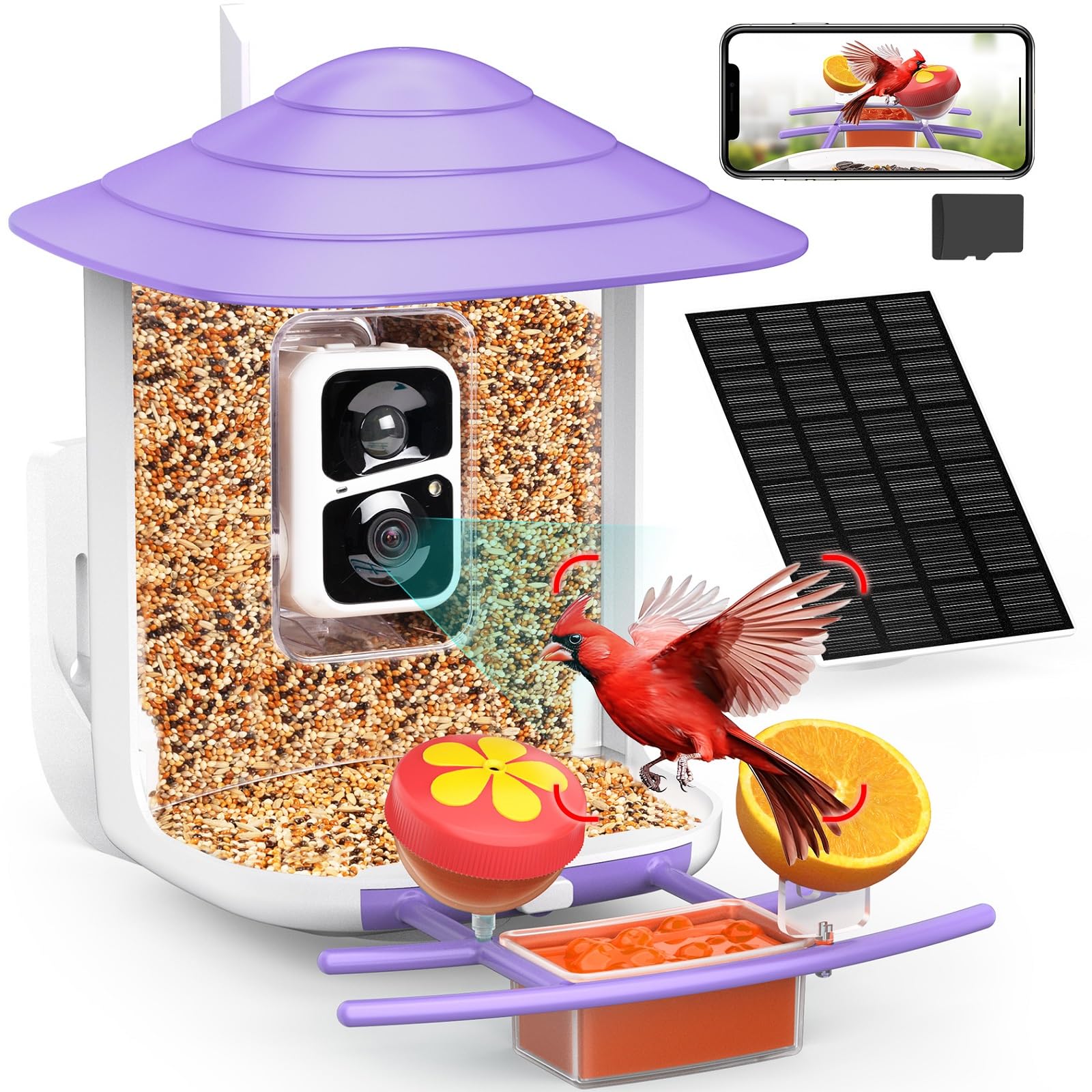 birdsnap® TUC- Smart Bird Feeder with Camera+Solar