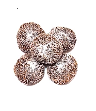 Blue Hut Coconut Fibre Coir Body Bath Scrubber (Pack of 5,Beige, Standard Size)