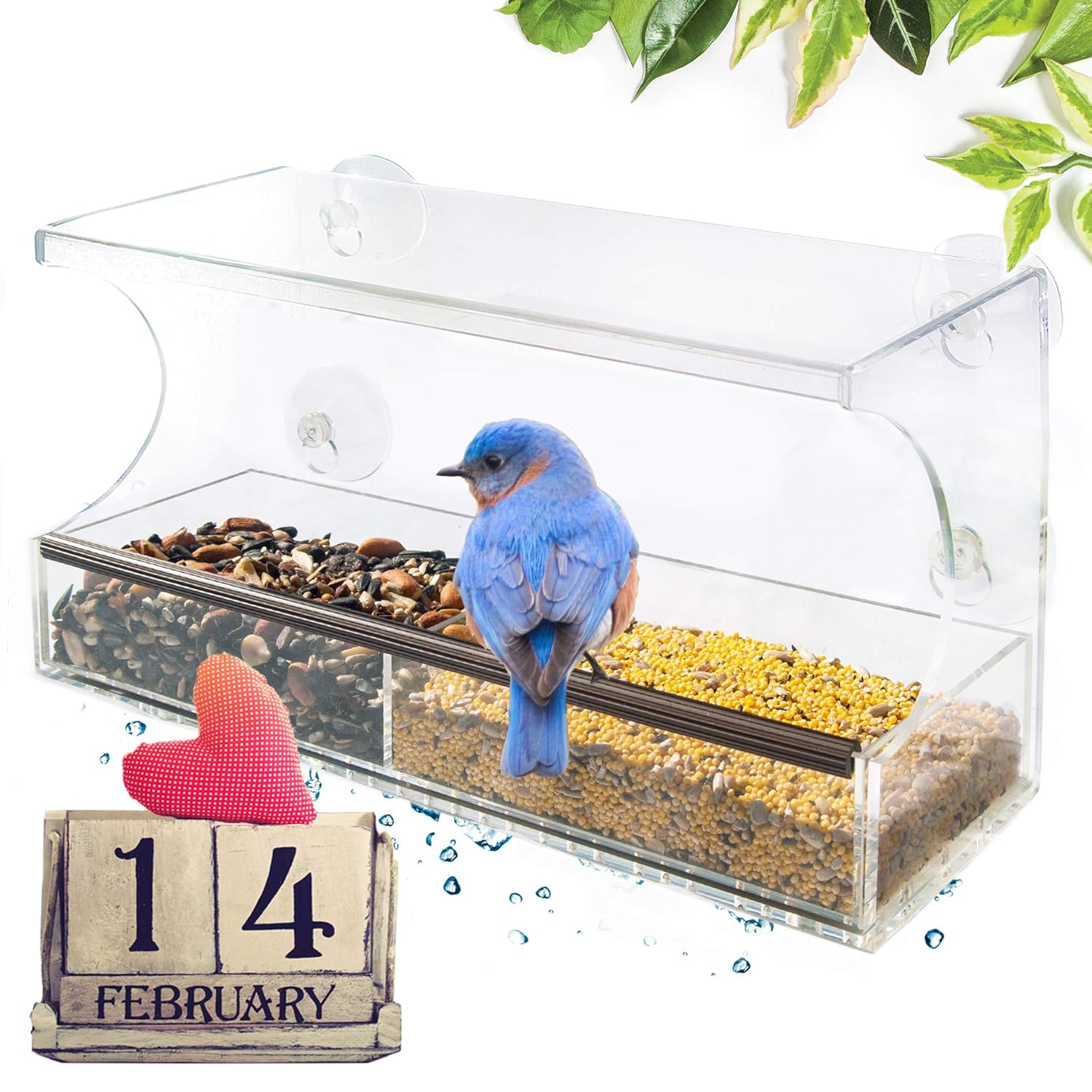 Go Simply Amazing Window Bird Feeder Bird Feeders For Outside