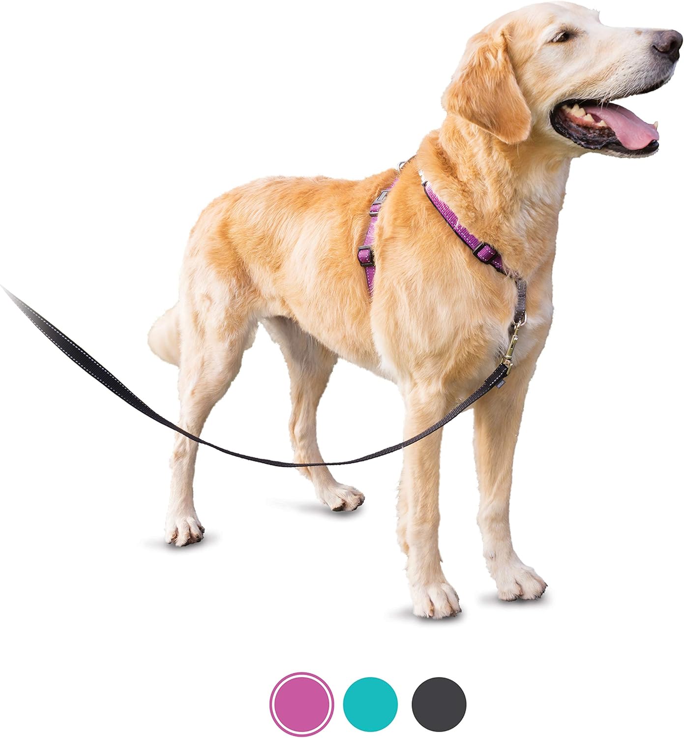 PetSafe 3 in 1 Harness and Car Restraint, Large, Plum, No Pull