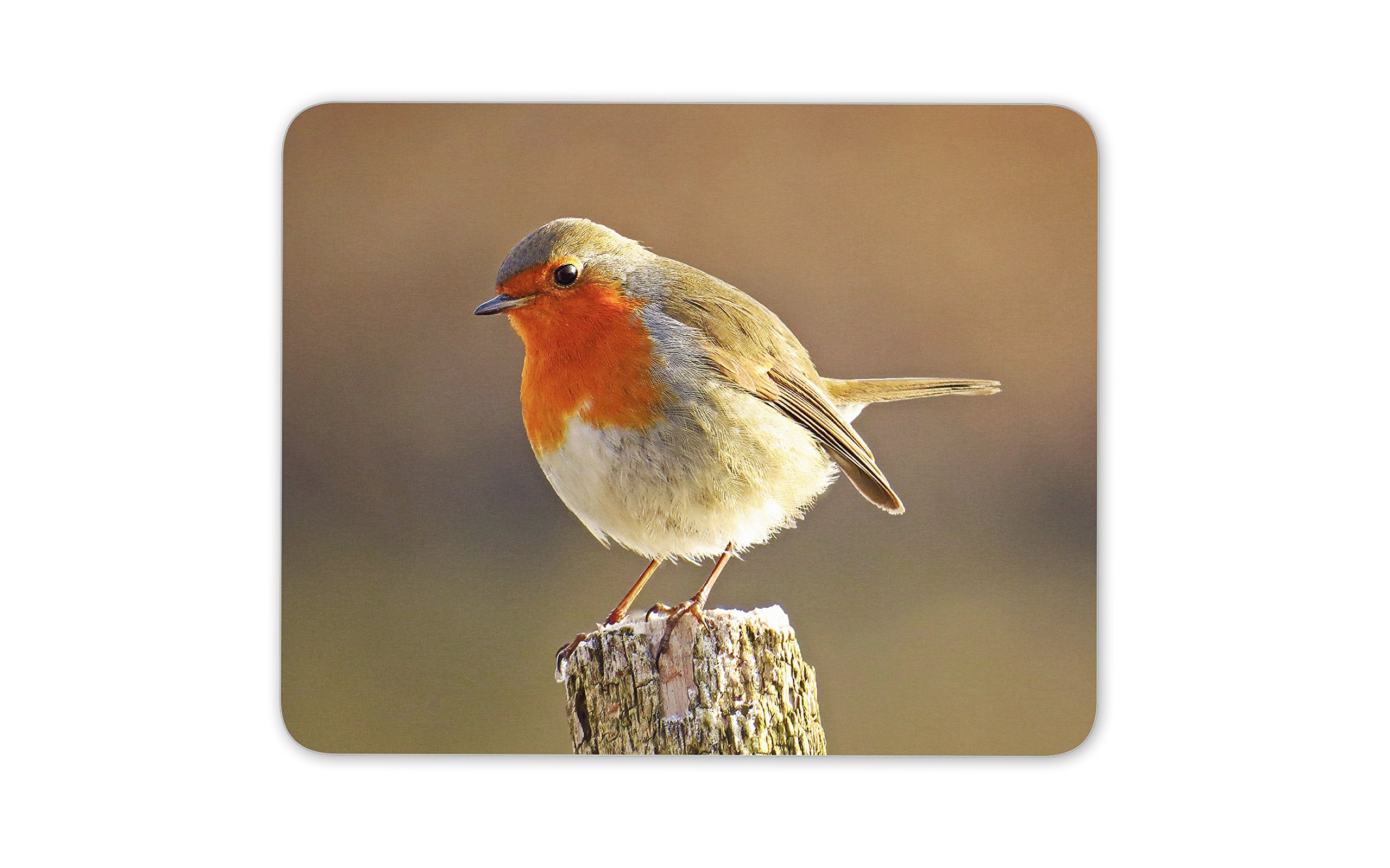 Destination Vinyl Ltd Cute Robin Redbreast Bird Mouse Mat Pad - British UK Birds Computer #8701
