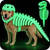 Dog Dinosaur Costume, 3D Skeleton Halloween Costume for Dogs，Large-B | Funny T-Rex Dog Costume for Medium & Large Dogs, Dinosaur Dog Outfit for Halloween Parties & Photos