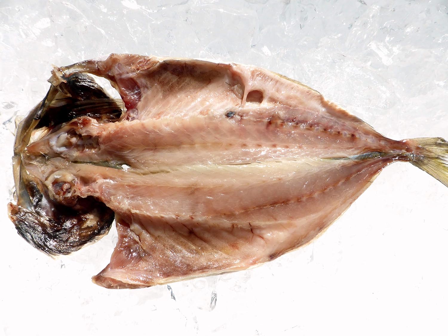 Amazon 脂がしたたる肉厚とろあじ開き特大 枚 橘水産 業務用 沼津のひもの 干物 燻製 通販