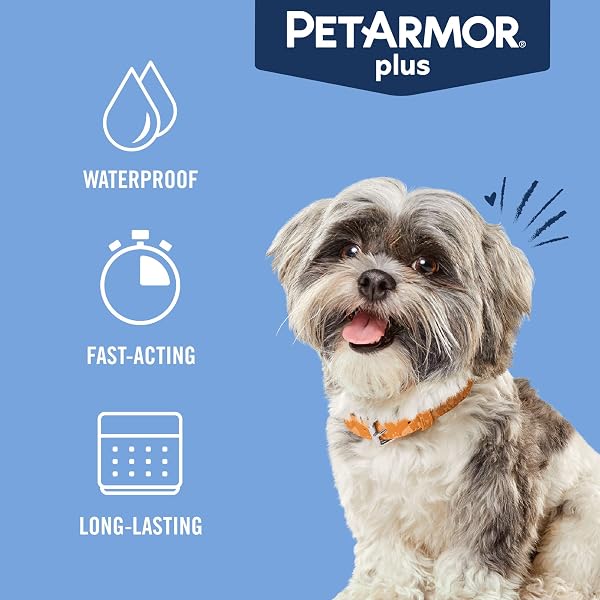 PETARMOR PLUS FOR DOGS FLEA AND TICK PREVENTION FOR DOGS, LONG-LASTING & FAST-ACTING TOPICAL DOG FLEA TREATMENT, 6 COUNT, SMALL