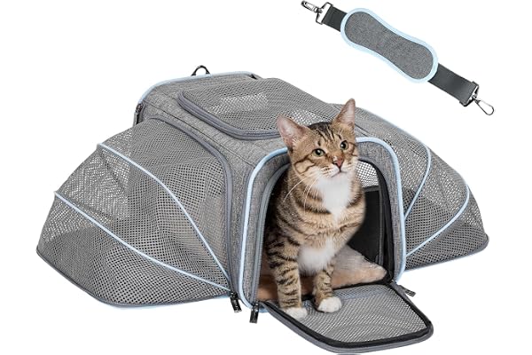 Petsfit Expandable Large Cat Carriers Small Dog Carrier, Airline Approved Soft-Sided Portable Washable Pet Travel Carrier wit