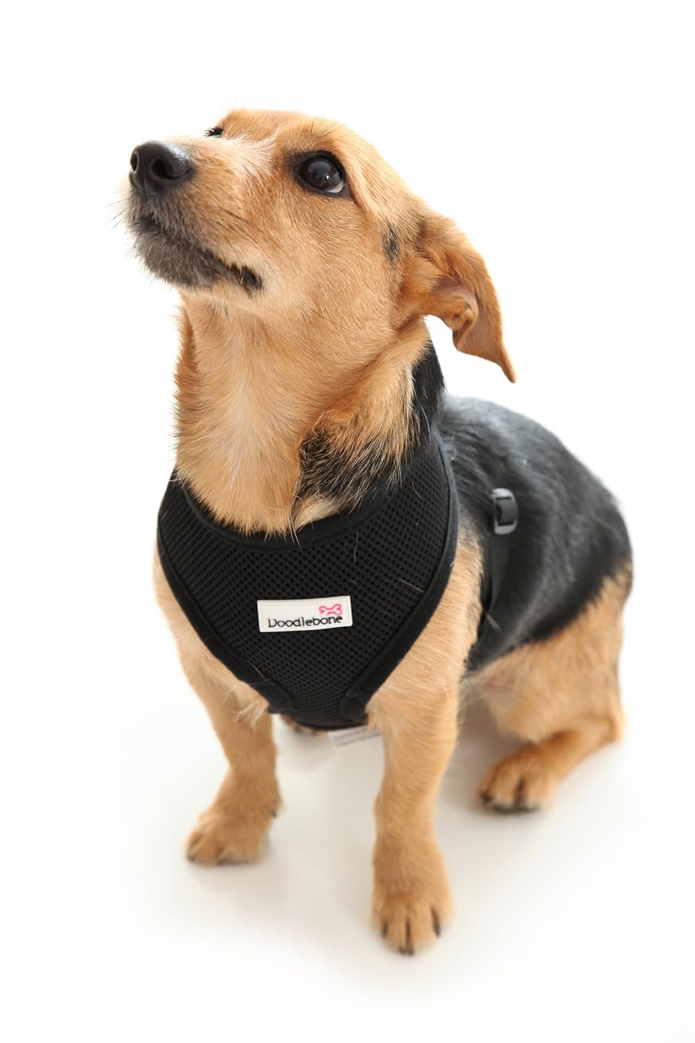 Doodlebone Airmesh Dog Harness Padded Soft Breathable Gentle On