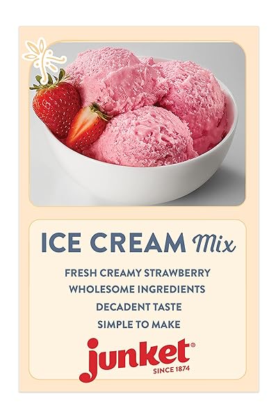 JUNKET ICE CREAM MIX SIMPLY STRAWBERRY, 4 OUNCE (PACK OF 1)