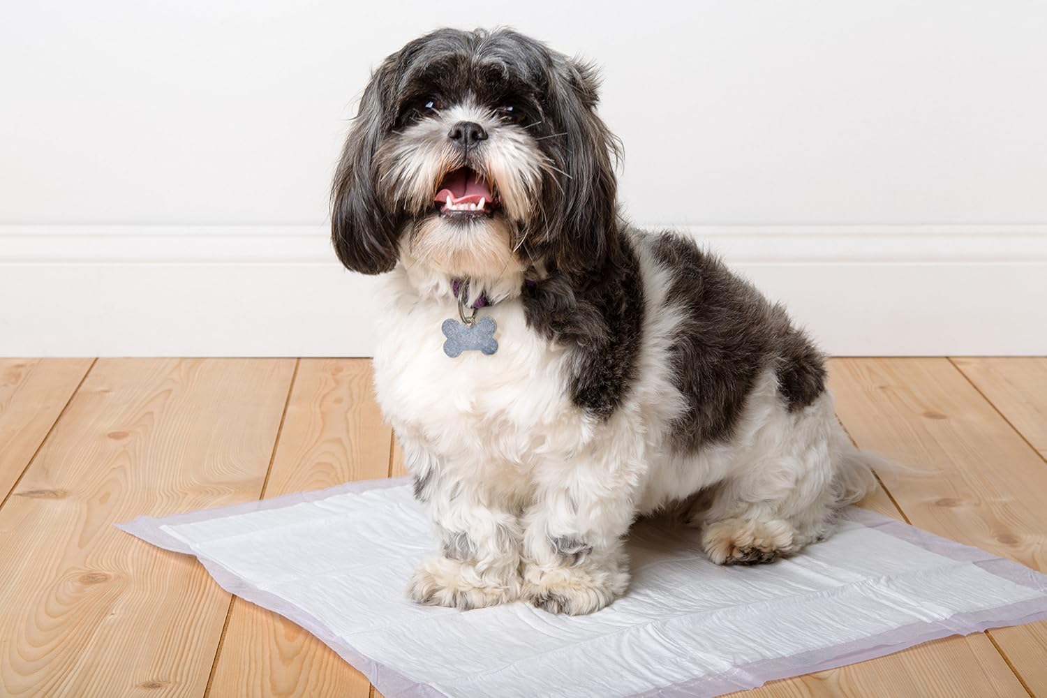 Hartz Home Protection Lavender Scented Odor Eliminating Gel Dog Pads - 50 Count : Pet Supplies