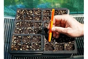 SPOKEN GARDEN Dibby Seed Sowing Garden Tool Dibber Planter Transplanter – Sow Seeds at the Right Depth – Easily Transplant Delicate Seedlings (Little Dibby) Orange