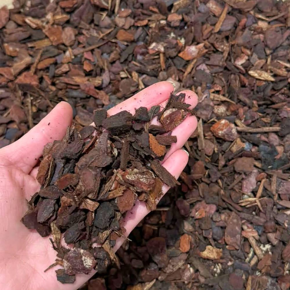 bhomescent Orchid Bark Chips Natural Bark for Orchids Reptiles Vivariums 1L