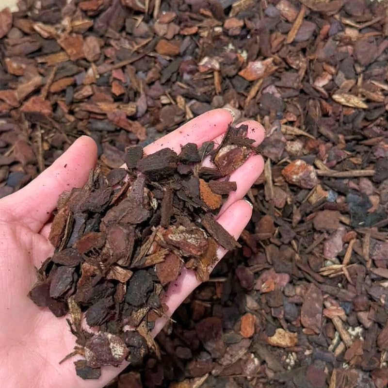 bhomescent Orchid Bark Chips Natural Bark for Orchids Reptiles Vivariums 1L
