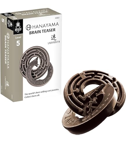Amazon.com: Hanayama News Puzzle : Toys & Games