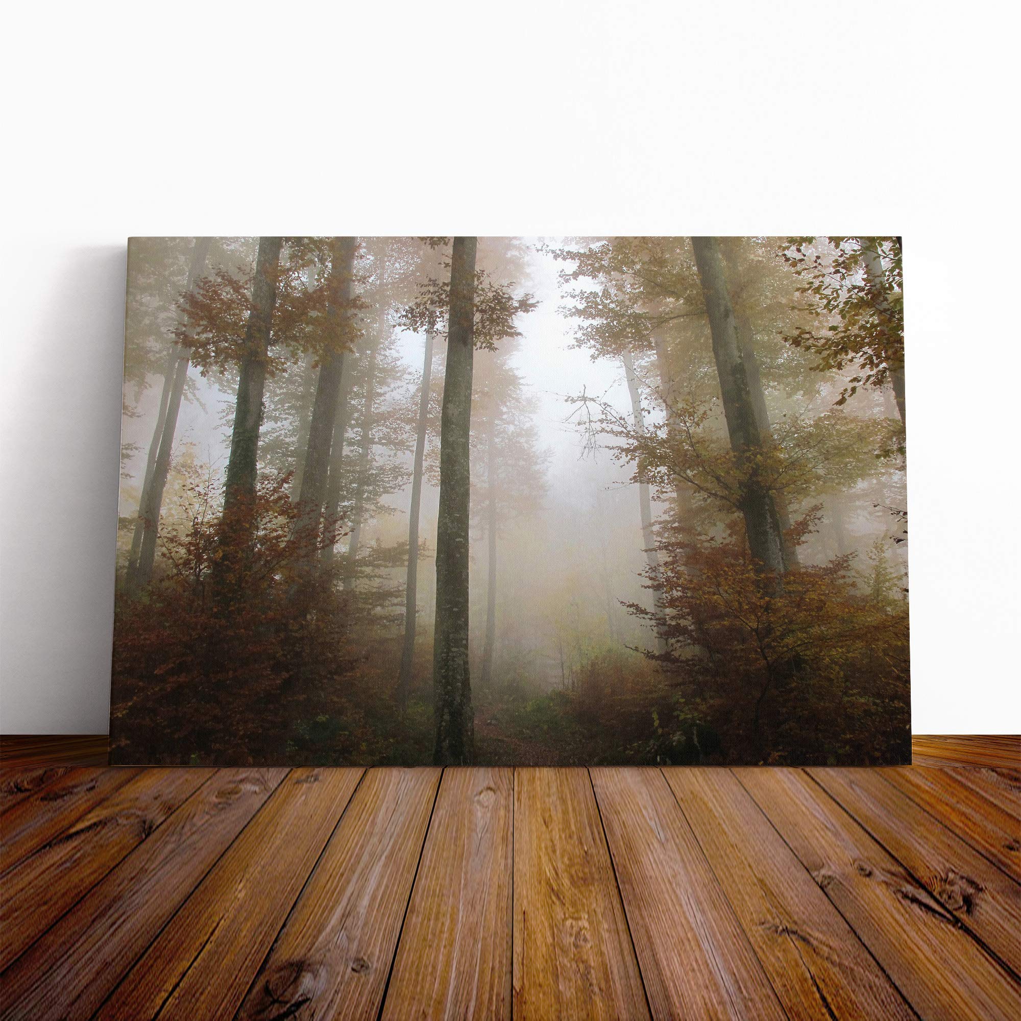Landscape Sunlight Forest Wood (11) Canvas Print | Gallery Wrapped 30mm Frame Wall Art | 20x14 inches | Ready to Hang | Modern Landscape Picture | Living Room Bedroom Lounge Office