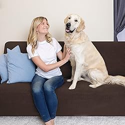 subrtex Sofa 1-Piece Stretch Slipcover Soft Couch