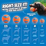 Chuckit Ultra Ball 7 cm Dog Toy One Piece view 4