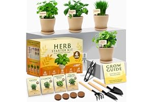 HOME GROWN Indoor Herb Garden Kit – Unique Christmas Gift for Adults, Men, & Women - Grow 4 Heirloom Herb Seeds for Kitchen Window Garden – Beginner DIY Craft & Hobby Gardening Gift for Plant Lovers