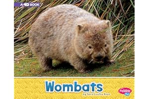 Wombats: A 4D Book (Australian Animals)