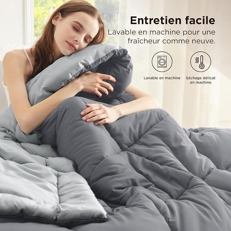 Couette 220x240 4 Saisons - Couette sans Housse 300g/m²