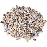 500pcs Natural Tiny Small Seashells with Side Hole, Beads for DIY Jewelry Making, Bracelets Making, Necklace Making