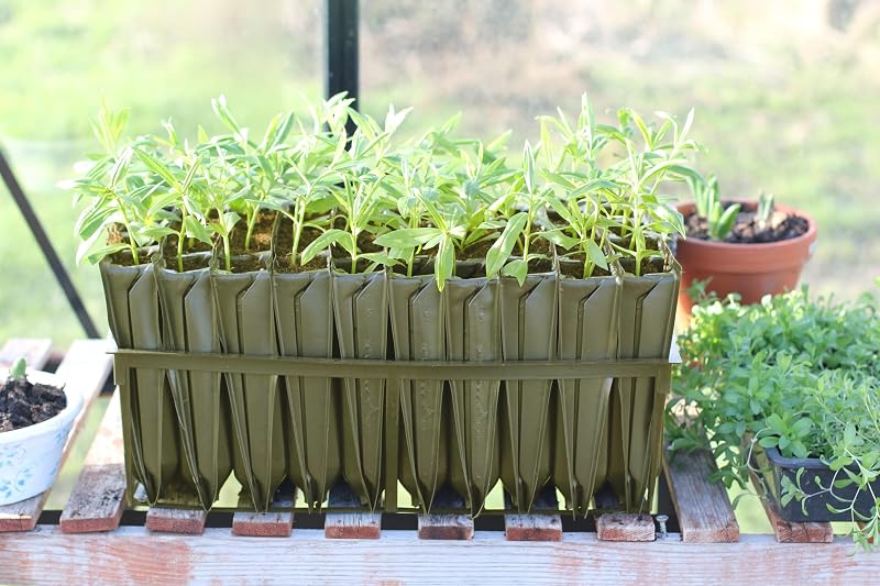 Haxnicks Maxi Rootrainers | Extra Deep 40 Cell Planting Pots | Black