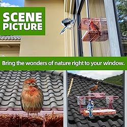 WENMIXER Window Bird Feeder with Non-Marking