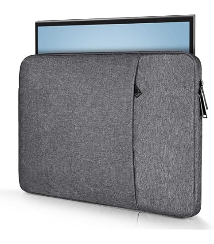 Amazon.com: 16.1 Inch Monitor Case Portable Carrying Bag