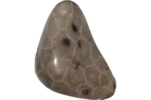 StarStuff.Rocks Polished Petoskey Stone Specimens