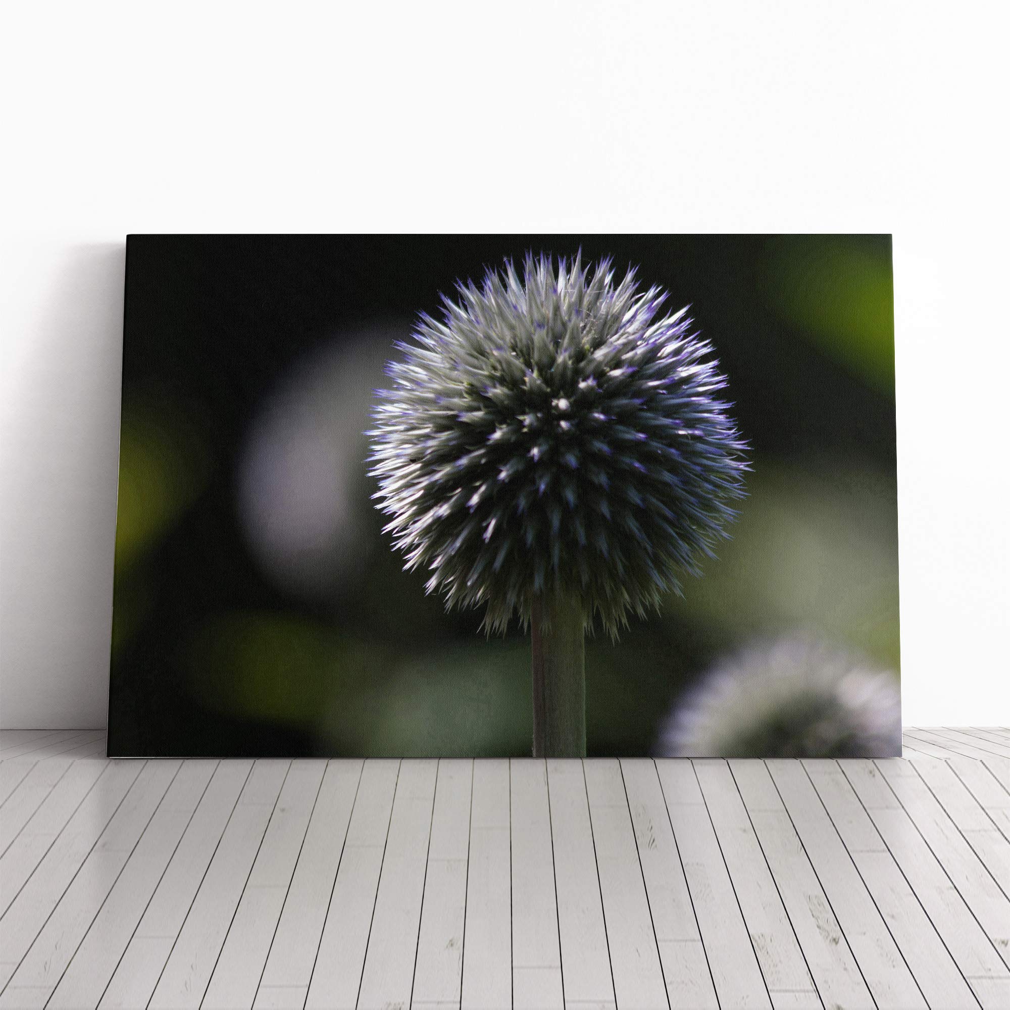 Flower Globe Thistle (1) Canvas Print | Gallery Wrapped 30mm Frame Wall Art | 20x14 inches | Ready to Hang | Modern Floral Picture | Living Room Bedroom Lounge Office