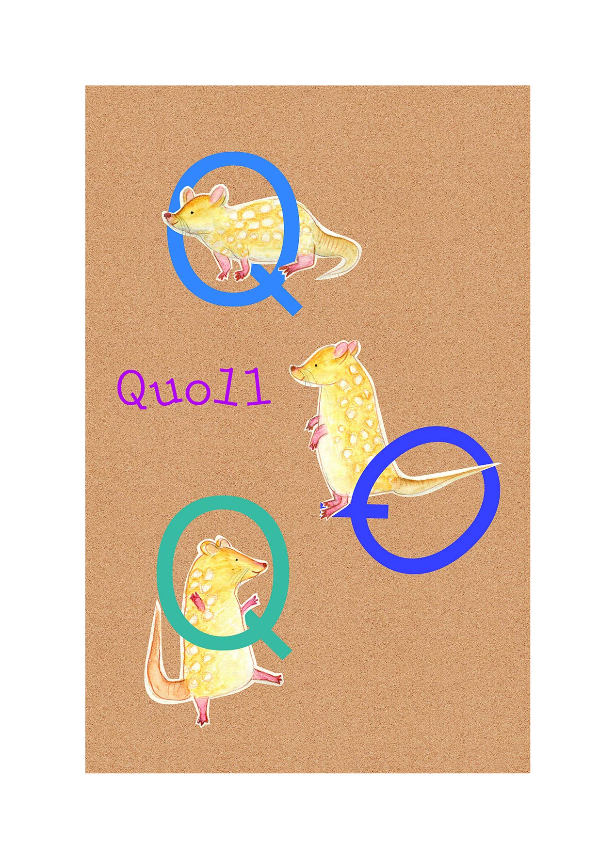 Komar Wall Picture ABC Animal Q | Poster Picture Living Room Bedroom Decoration Art Print | Without Frame | P036Q-50x70 | Size: 50 x 70 cm (Width x Height)