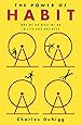 The Power of Habit: Why We Do What We Do in Life and Business