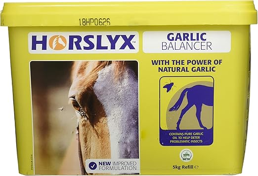 Horslyx Tub Garlic Supplement Lick