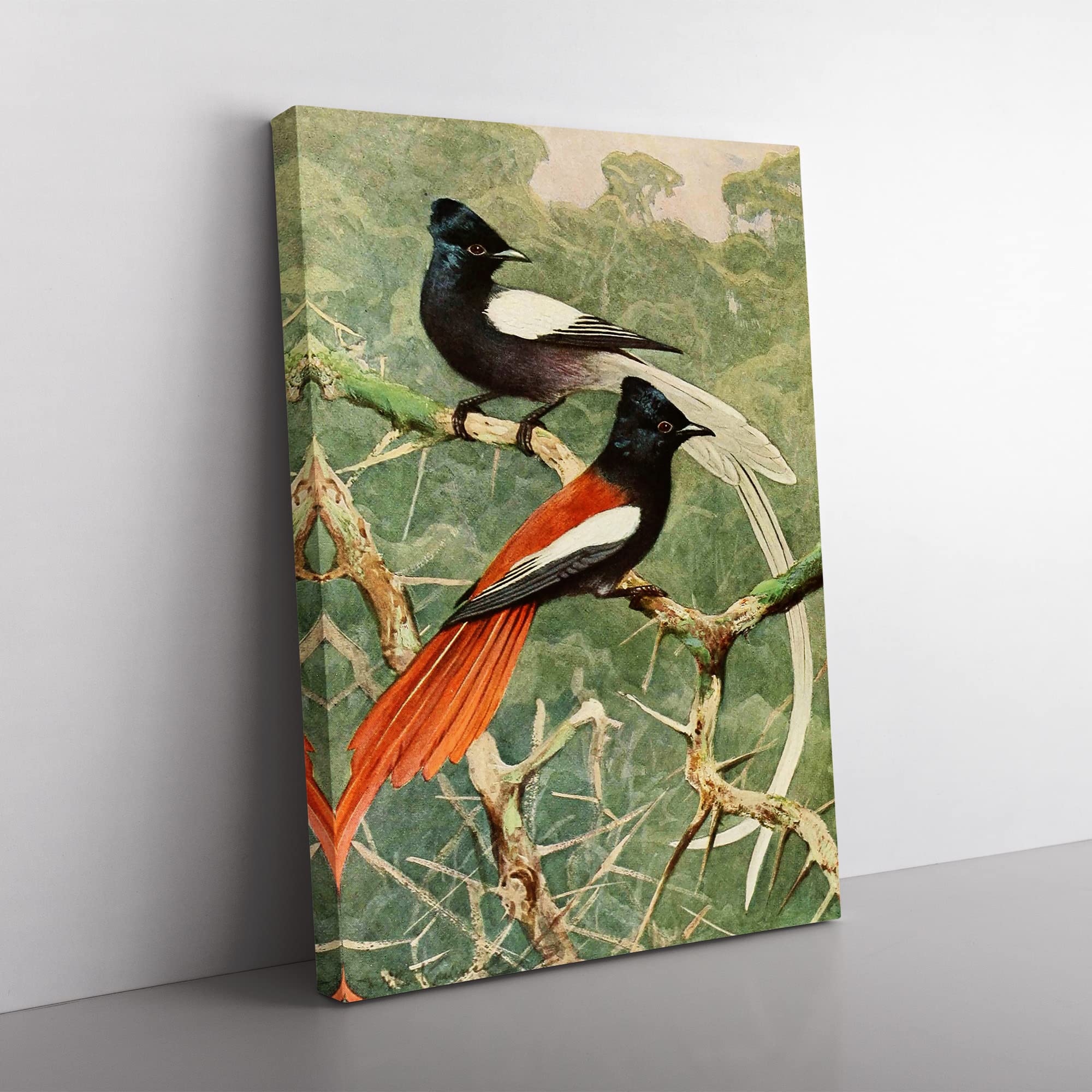 Vintage W Kuhnert Birds Of Paradise Vintage Canvas Wall Art Print Ready to Hang, Framed Picture for Living Room Bedroom Home Office Décor, 50x35 cm (20x14 Inch)