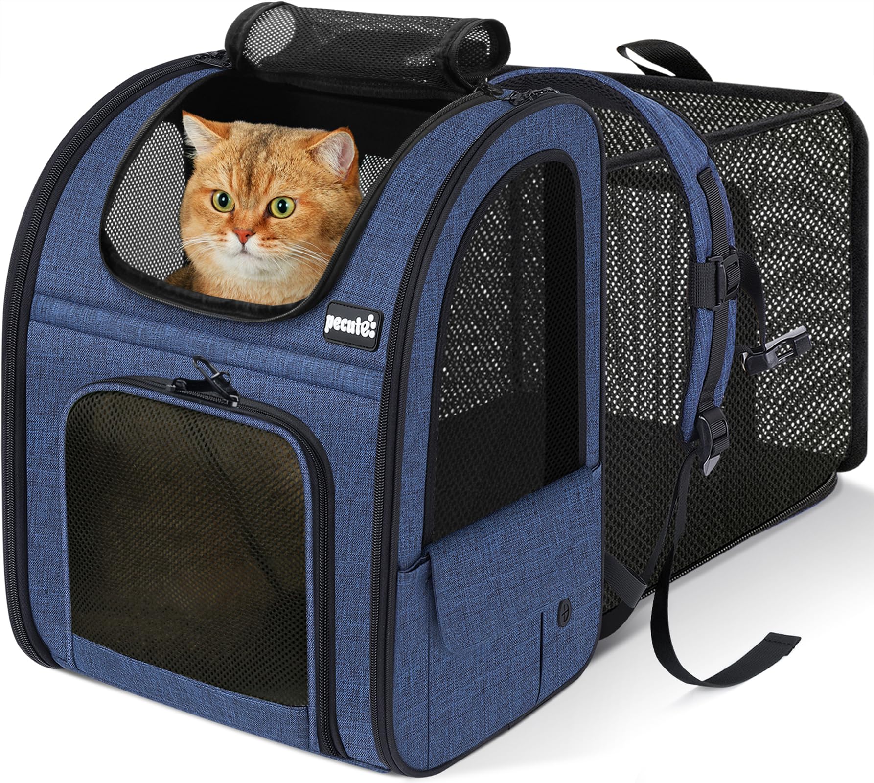 pecute Cat Carrier Dog Backpack Expandable, Portable Breathable Rucksack with Front Opening-Mesh Window-Pockets, Extendable Back More Space Great For Carrying Puppy Dogs Cats Up to 8KG(Blue)