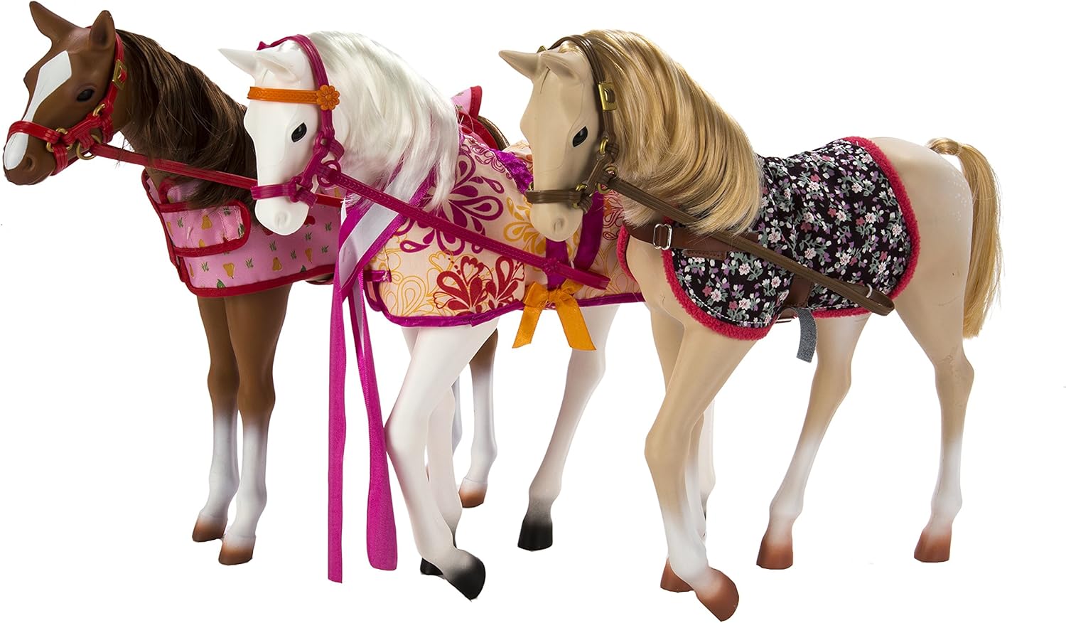 our generation palomino