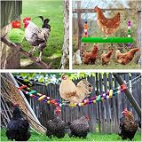 XMPEKO Chicken Coop Toys 6PCS Xylophone Swing Ladder Skewer Feeder Mirror Wood view 5