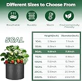 T4U 5 Gallon Grow Bags with Handles 10 Pack for Vegetables UK Gardeners view 2