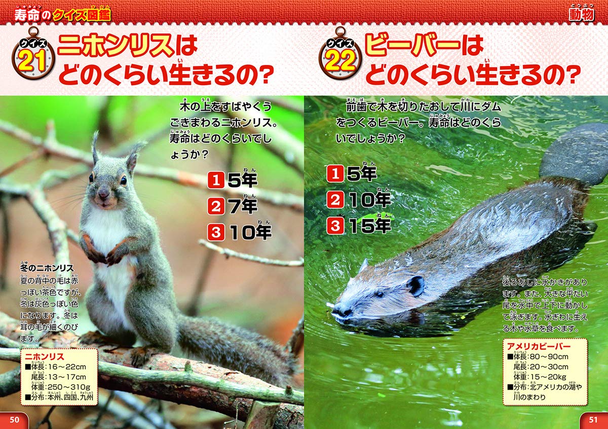 寿命のクイズ図鑑 学研のクイズ図鑑 Amazon Com Books