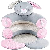 teddy's toy box sit me up cosy