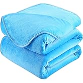 HOZY Soft Blanket Queen Size Fleece Warm Fuzzy Throw Blankets for The Bed Sofa Lightweight 350GSM Sky Blue 90"*90"